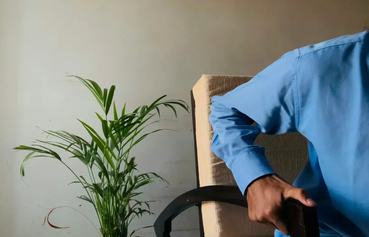 Person checking sofa back support