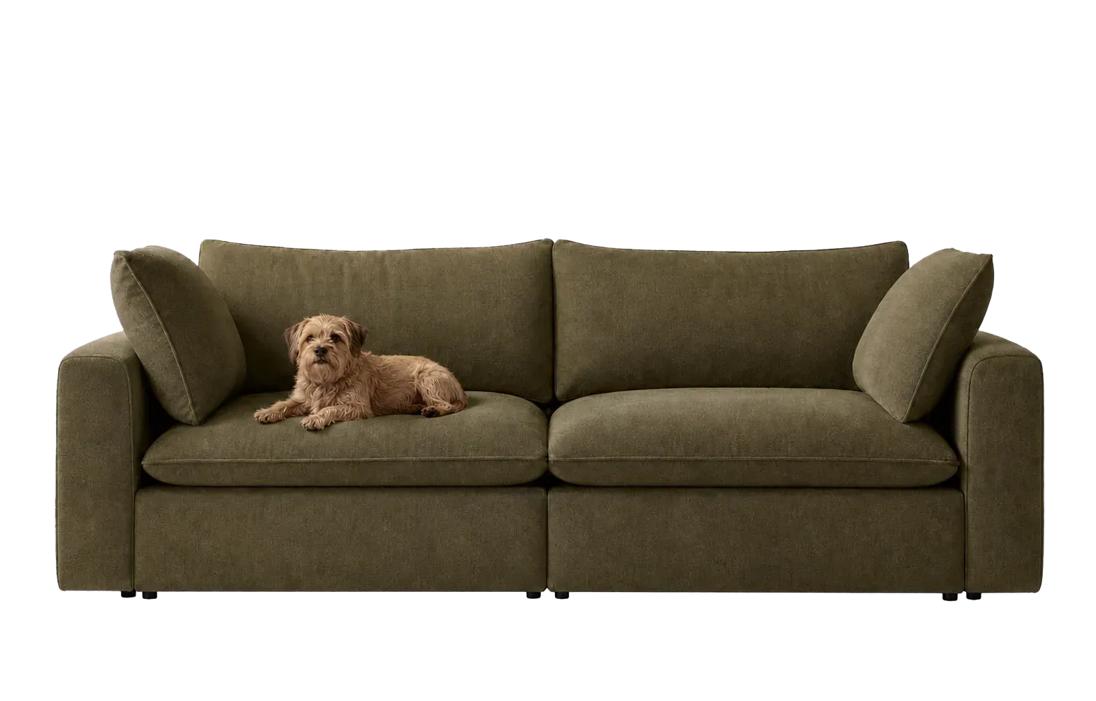 Editorial sofa image illustrating the topic